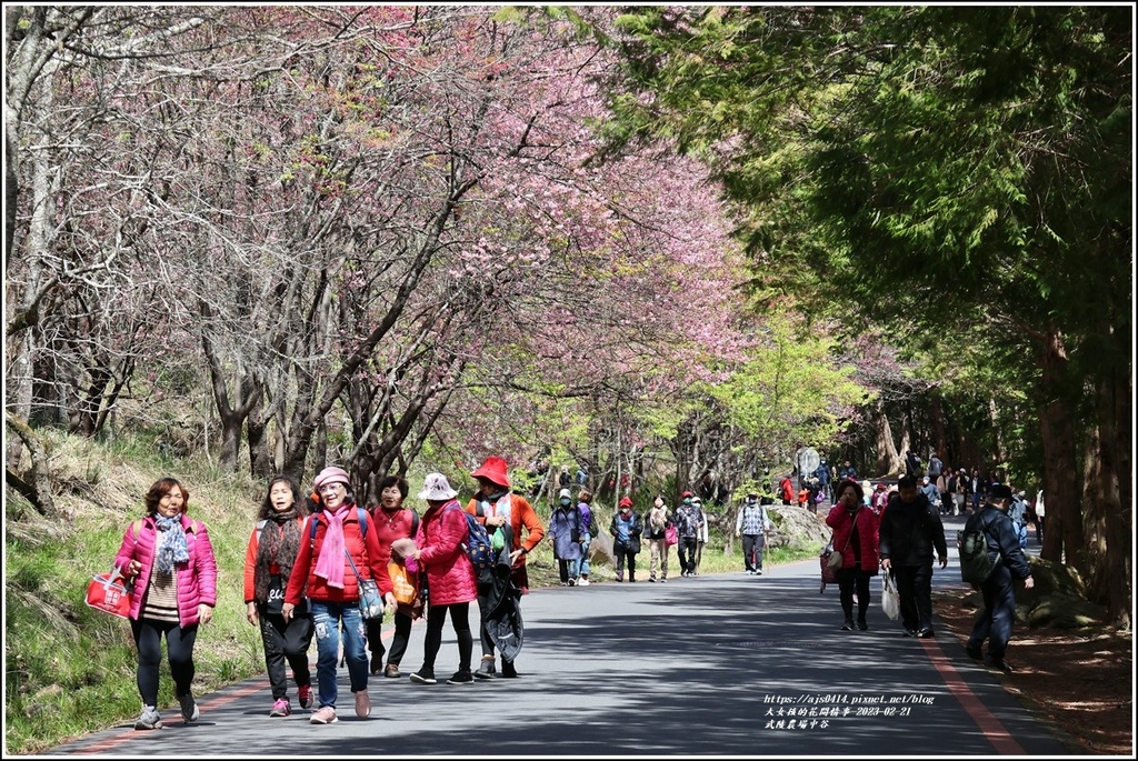 武陵農場(三天二夜)中谷-2023-02-21-41.jpg 武陵農場(三天二夜)中谷-2023-02-21-41.jpg