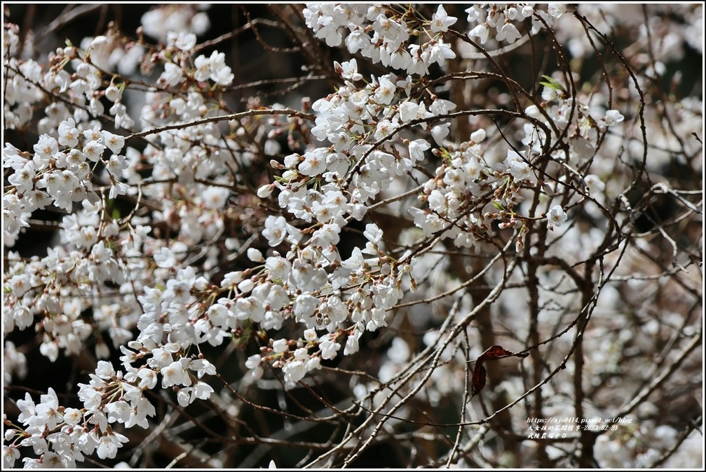 武陵農場(三天二夜)中谷-2023-02-21-43.jpg 武陵農場(三天二夜)中谷-2023-02-21-43.jpg