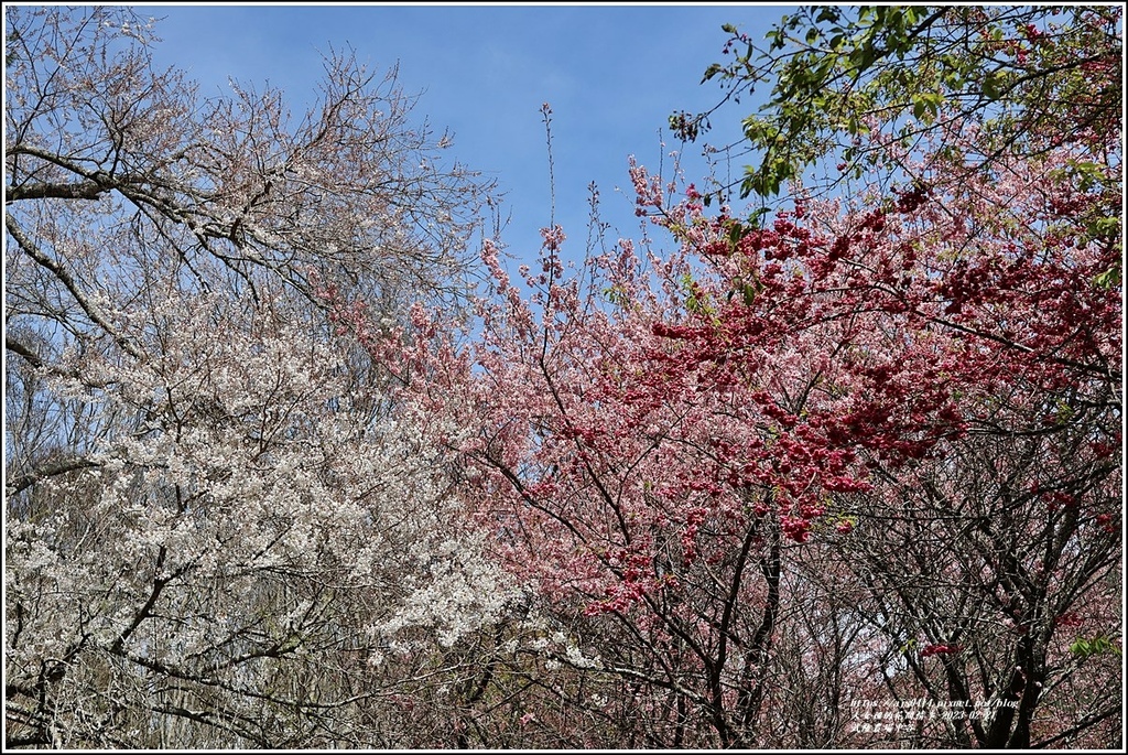 武陵農場(三天二夜)中谷-2023-02-21-44.jpg 武陵農場(三天二夜)中谷-2023-02-21-44.jpg