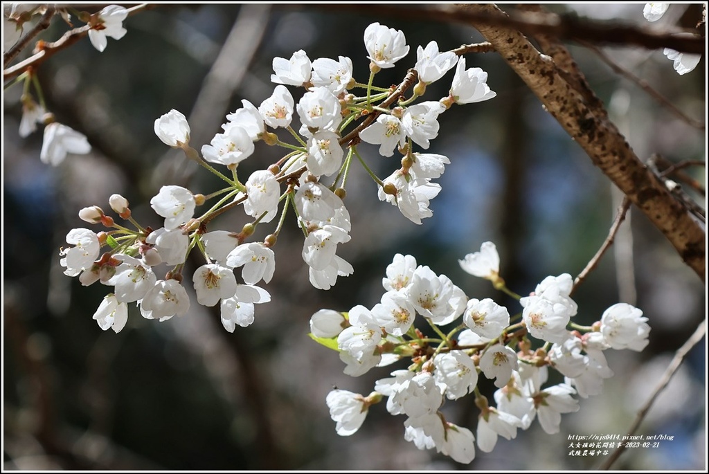 武陵農場(三天二夜)中谷-2023-02-21-48.jpg 武陵農場(三天二夜)中谷-2023-02-21-48.jpg