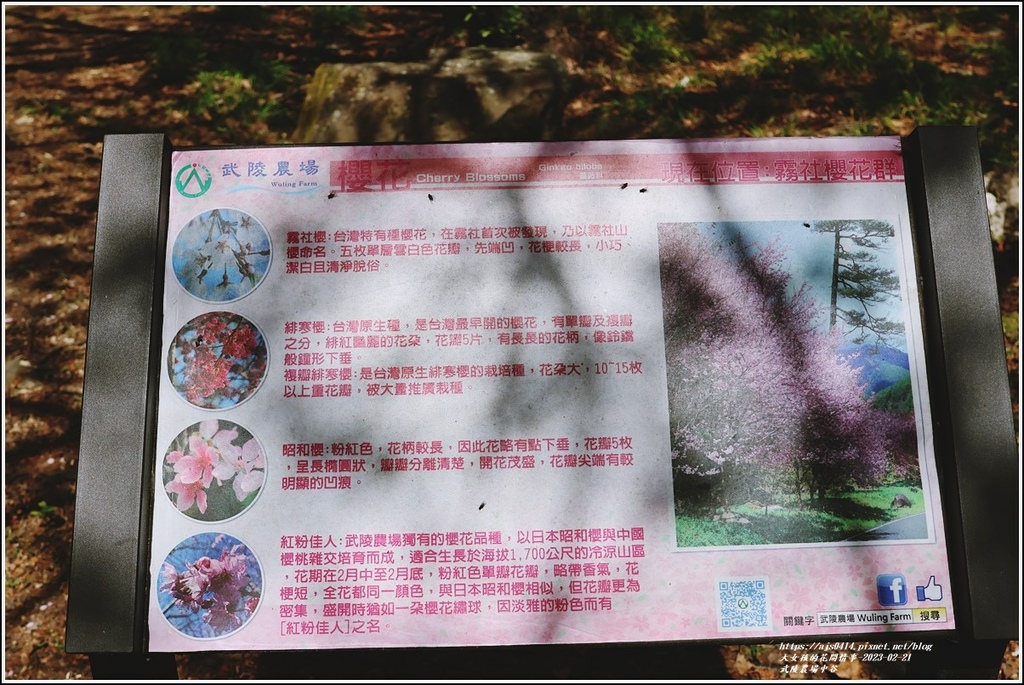 武陵農場(三天二夜)中谷-2023-02-21-51.jpg 武陵農場(三天二夜)中谷-2023-02-21-51.jpg