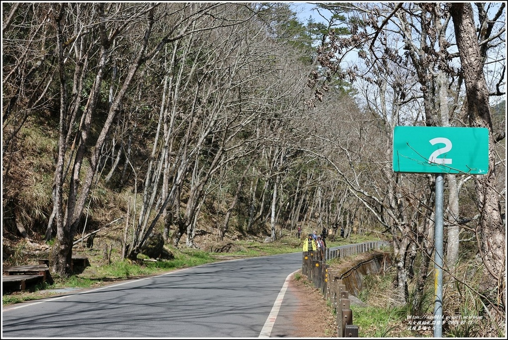 武陵農場(三天二夜)中谷-2023-02-21-52.jpg 武陵農場(三天二夜)中谷-2023-02-21-52.jpg