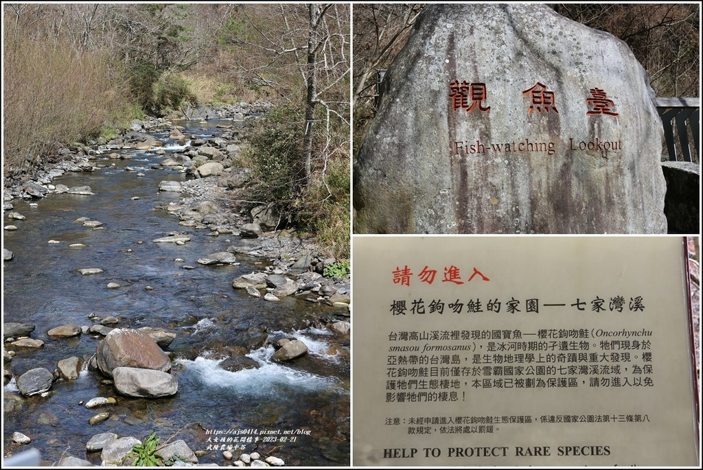 武陵農場(三天二夜)中谷-2023-02-21-55.jpg 武陵農場(三天二夜)中谷-2023-02-21-55.jpg