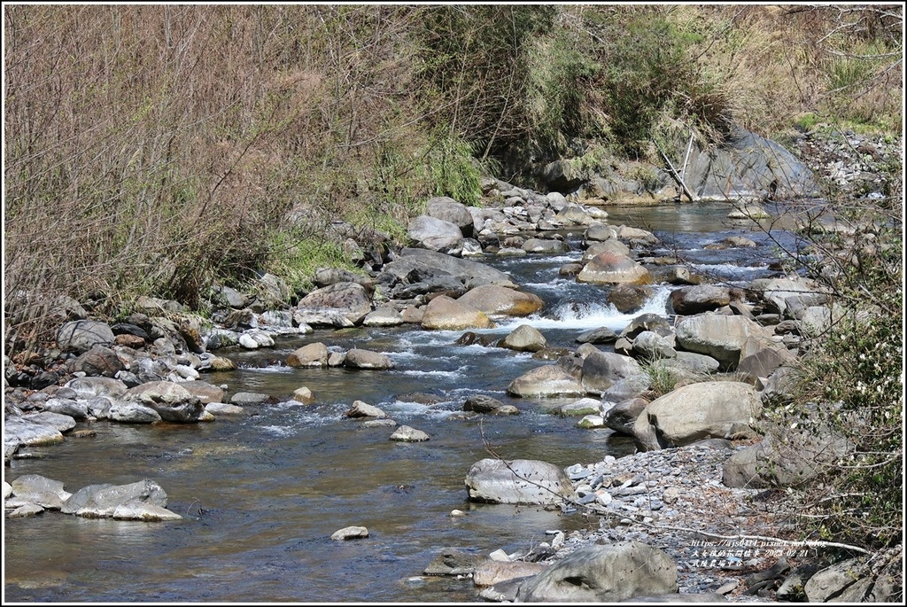 武陵農場(三天二夜)中谷-2023-02-21-54.jpg 武陵農場(三天二夜)中谷-2023-02-21-54.jpg
