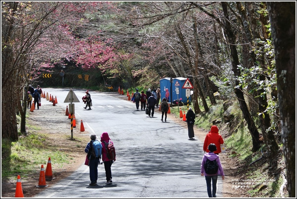武陵農場(三天二夜)中谷-2023-02-21-56.jpg 武陵農場(三天二夜)中谷-2023-02-21-56.jpg
