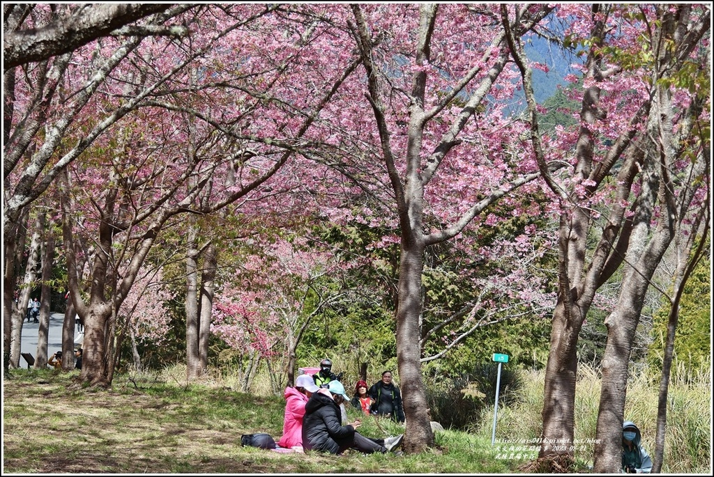 武陵農場(三天二夜)中谷-2023-02-21-58.jpg 武陵農場(三天二夜)中谷-2023-02-21-58.jpg