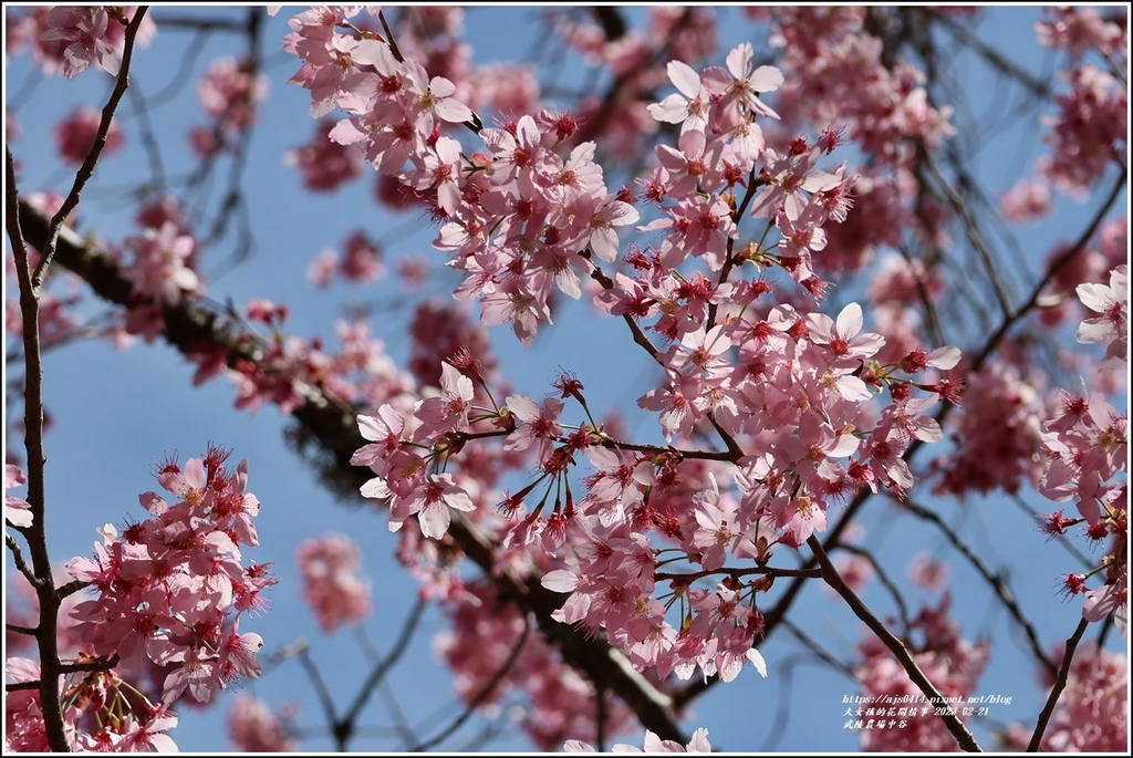 武陵農場(三天二夜)中谷-2023-02-21-60.jpg 武陵農場(三天二夜)中谷-2023-02-21-60.jpg