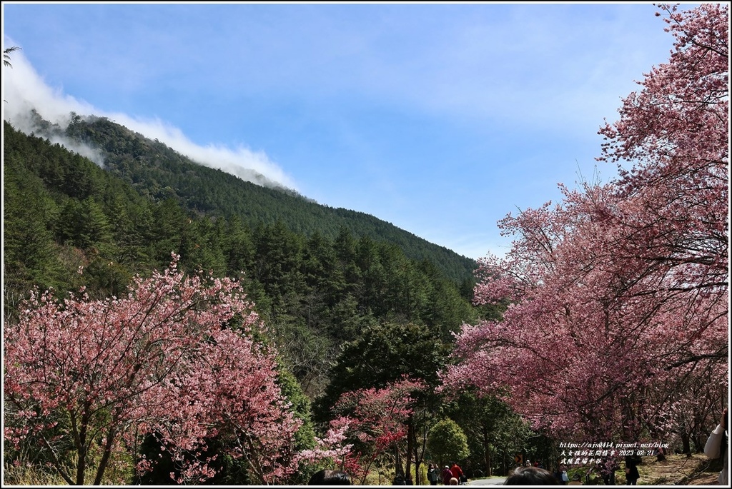 武陵農場(三天二夜)中谷-2023-02-21-64.jpg 武陵農場(三天二夜)中谷-2023-02-21-64.jpg