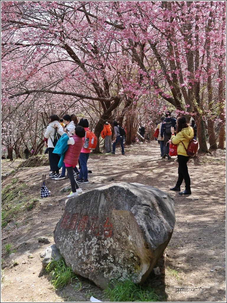 武陵農場(三天二夜)中谷-2023-02-21-63.jpg 武陵農場(三天二夜)中谷-2023-02-21-63.jpg