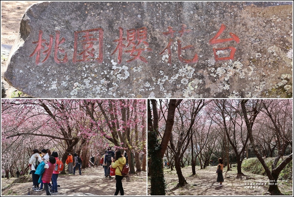 武陵農場(三天二夜)中谷-2023-02-21-62.jpg 武陵農場(三天二夜)中谷-2023-02-21-62.jpg