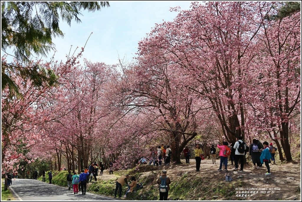 武陵農場(三天二夜)中谷-2023-02-21-65.jpg 武陵農場(三天二夜)中谷-2023-02-21-65.jpg