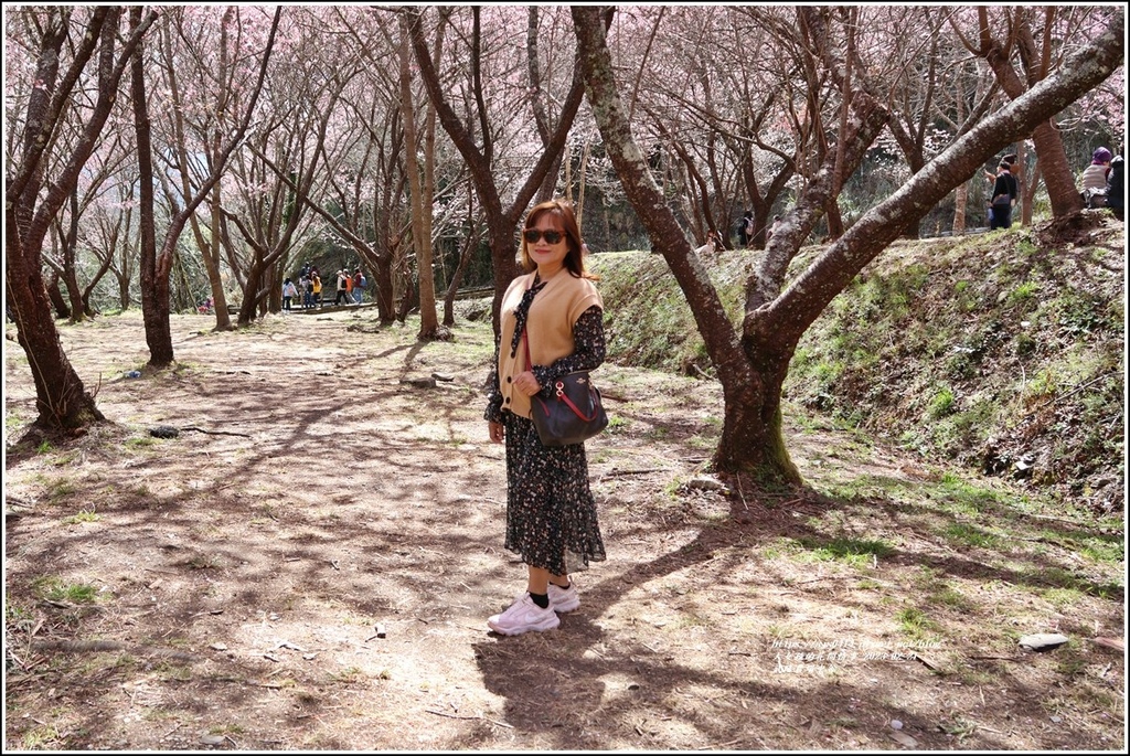 武陵農場(三天二夜)中谷-2023-02-21-66.jpg 武陵農場(三天二夜)中谷-2023-02-21-66.jpg