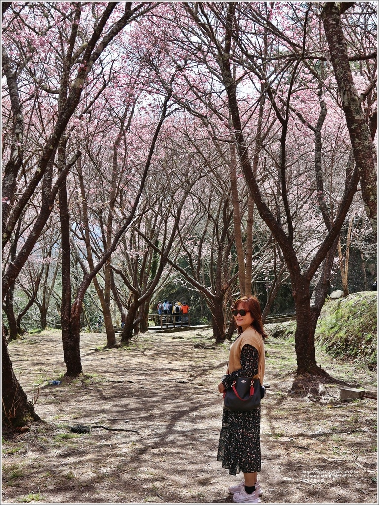 武陵農場(三天二夜)中谷-2023-02-21-68.jpg 武陵農場(三天二夜)中谷-2023-02-21-68.jpg