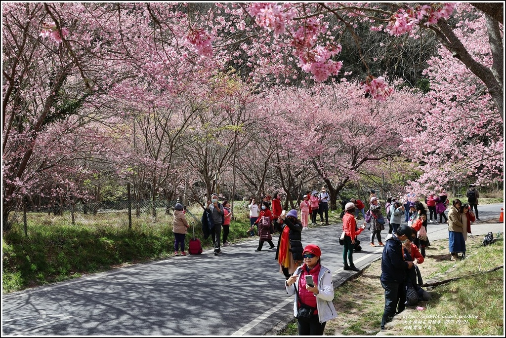 武陵農場(三天二夜)中谷-2023-02-21-75.jpg 武陵農場(三天二夜)中谷-2023-02-21-75.jpg