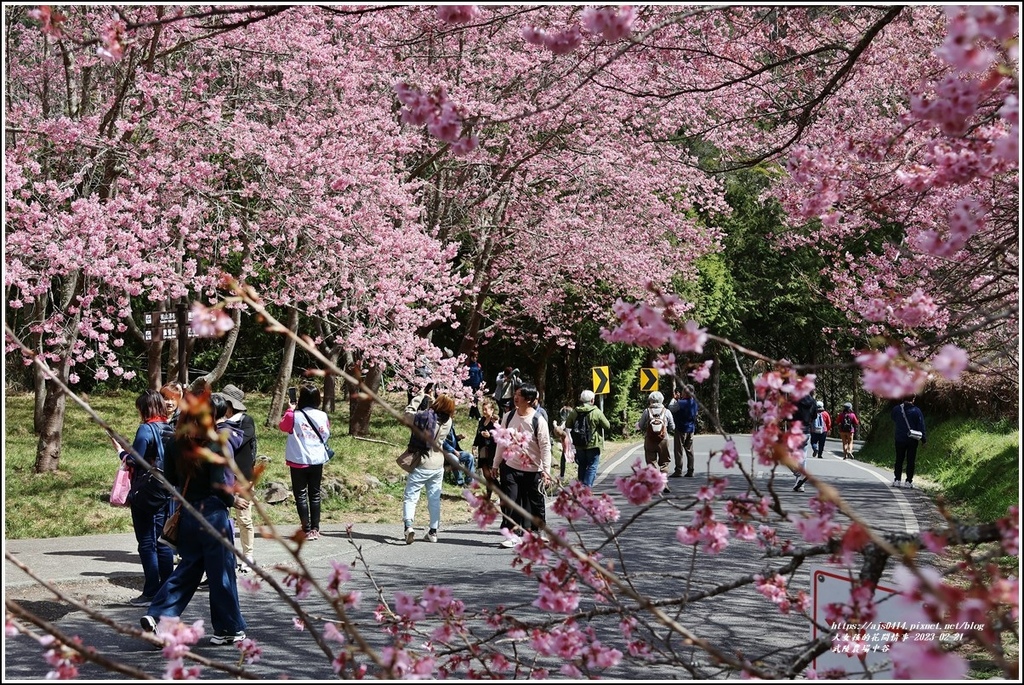 武陵農場(三天二夜)中谷-2023-02-21-77.jpg 武陵農場(三天二夜)中谷-2023-02-21-77.jpg