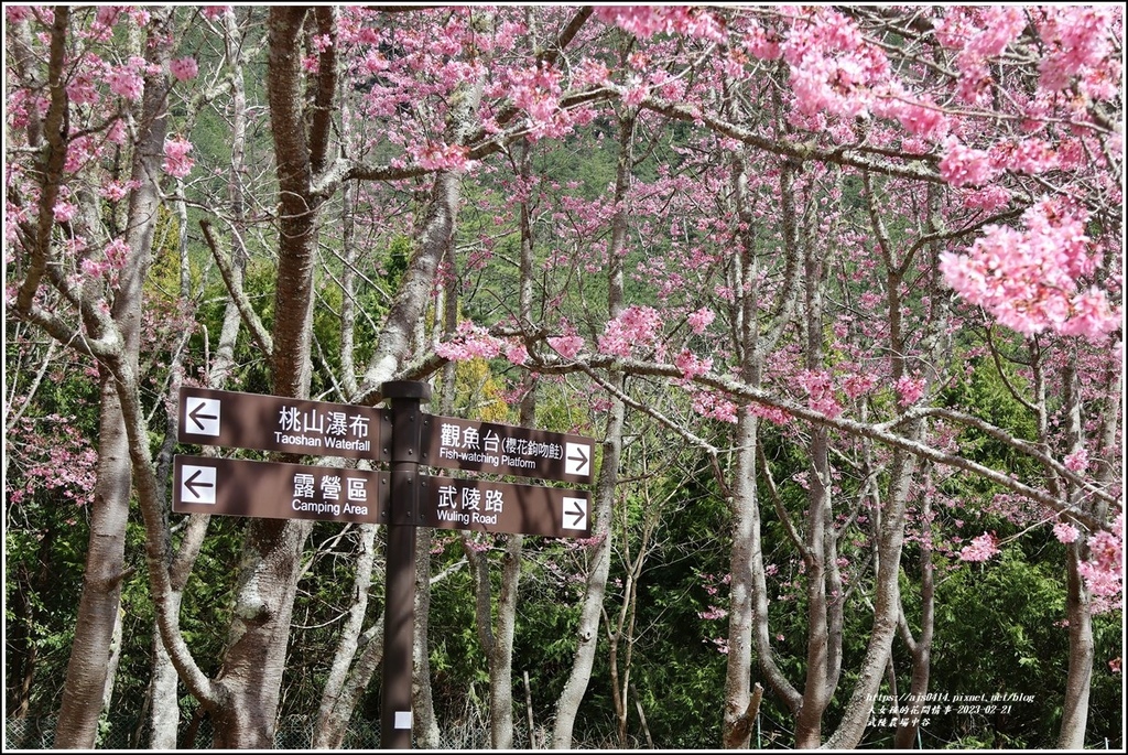 武陵農場(三天二夜)中谷-2023-02-21-81.jpg 武陵農場(三天二夜)中谷-2023-02-21-81.jpg