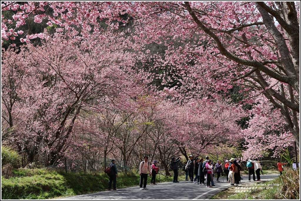 武陵農場(三天二夜)中谷-2023-02-21-83.jpg 武陵農場(三天二夜)中谷-2023-02-21-83.jpg