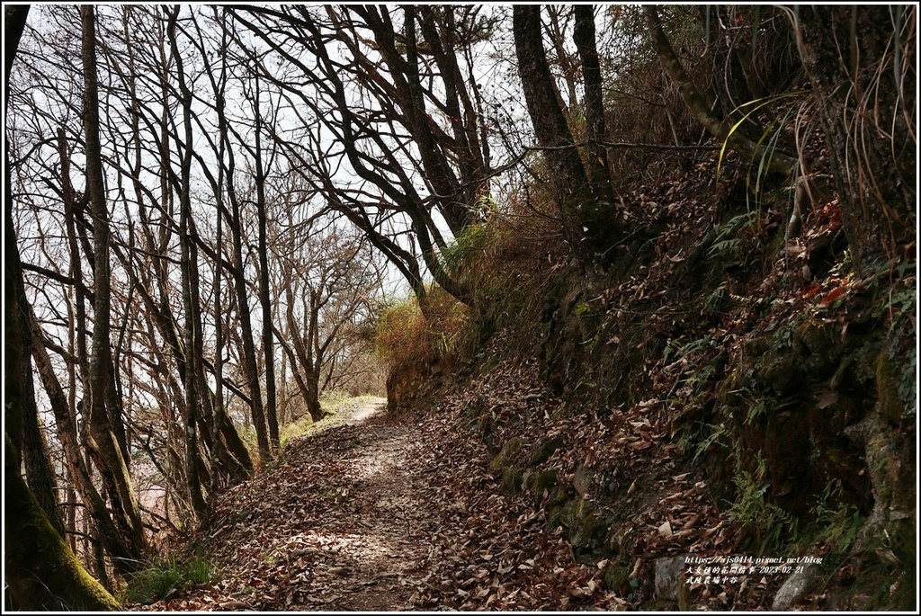 武陵農場(三天二夜)中谷-2023-02-21-86.jpg 武陵農場(三天二夜)中谷-2023-02-21-86.jpg