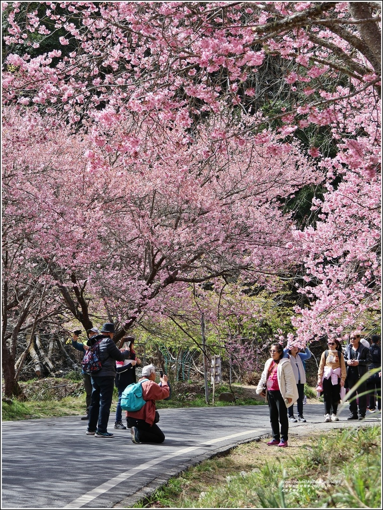 武陵農場(三天二夜)中谷-2023-02-21-85.jpg 武陵農場(三天二夜)中谷-2023-02-21-85.jpg