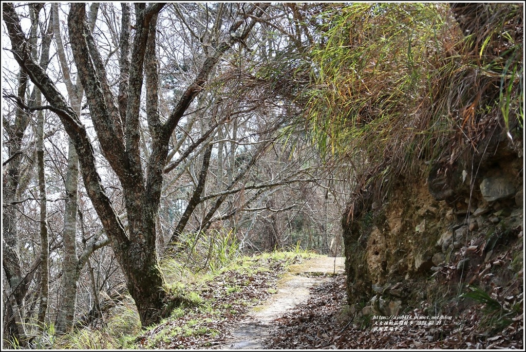 武陵農場(三天二夜)中谷-2023-02-21-88.jpg 武陵農場(三天二夜)中谷-2023-02-21-88.jpg