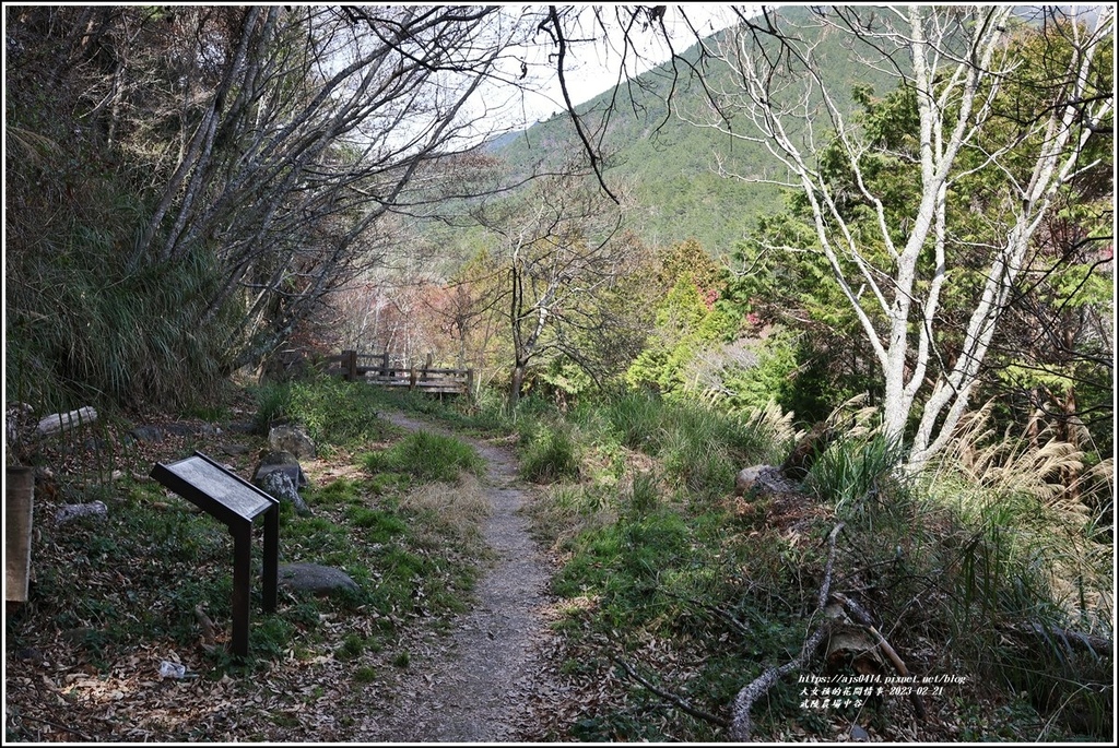 武陵農場(三天二夜)中谷-2023-02-21-87.jpg 武陵農場(三天二夜)中谷-2023-02-21-87.jpg