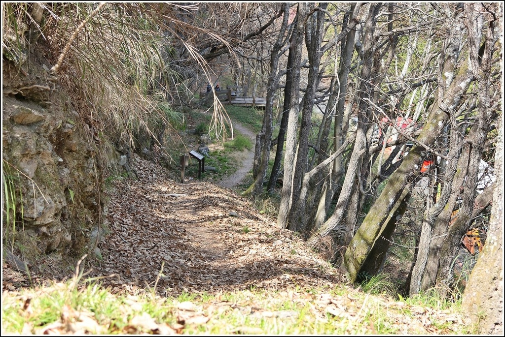 武陵農場(三天二夜)中谷-2023-02-21-89.jpg 武陵農場(三天二夜)中谷-2023-02-21-89.jpg