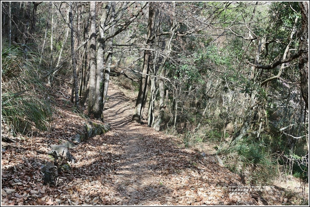 武陵農場(三天二夜)中谷-2023-02-21-94.jpg 武陵農場(三天二夜)中谷-2023-02-21-94.jpg