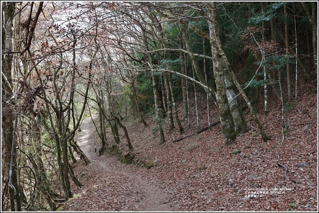 武陵農場(三天二夜)中谷-2023-02-21-90.jpg 武陵農場(三天二夜)中谷-2023-02-21-90.jpg