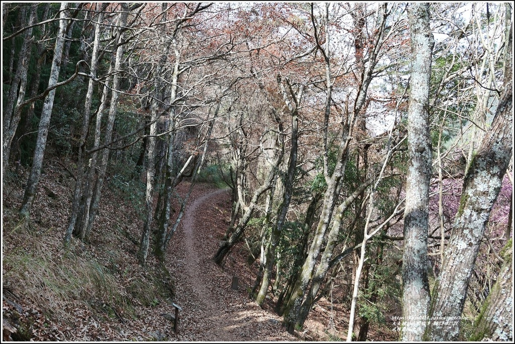 武陵農場(三天二夜)中谷-2023-02-21-93.jpg 武陵農場(三天二夜)中谷-2023-02-21-93.jpg