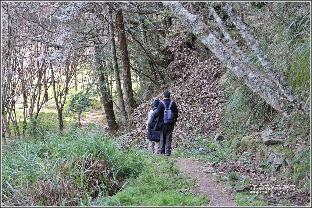 武陵農場(三天二夜)中谷-2023-02-21-96.jpg 武陵農場(三天二夜)中谷-2023-02-21-96.jpg