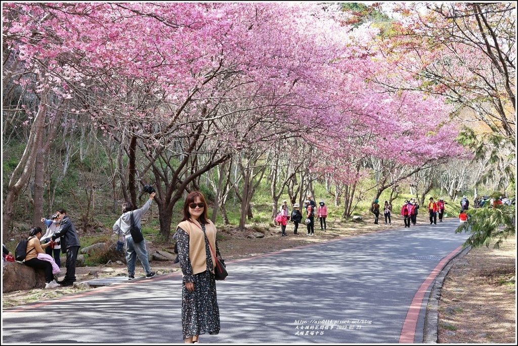 武陵農場(三天二夜)中谷-2023-02-21-100.jpg 武陵農場(三天二夜)中谷-2023-02-21-100.jpg