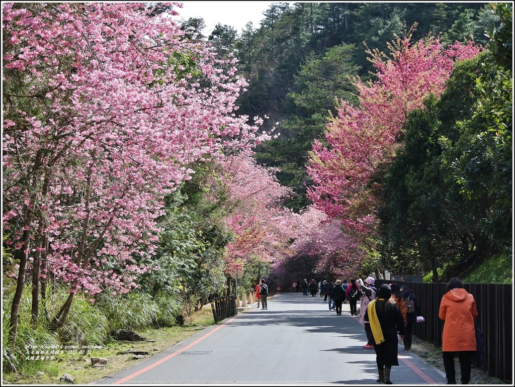 武陵農場(三天二夜)中谷-2023-02-21-109.jpg 武陵農場(三天二夜)中谷-2023-02-21-109.jpg