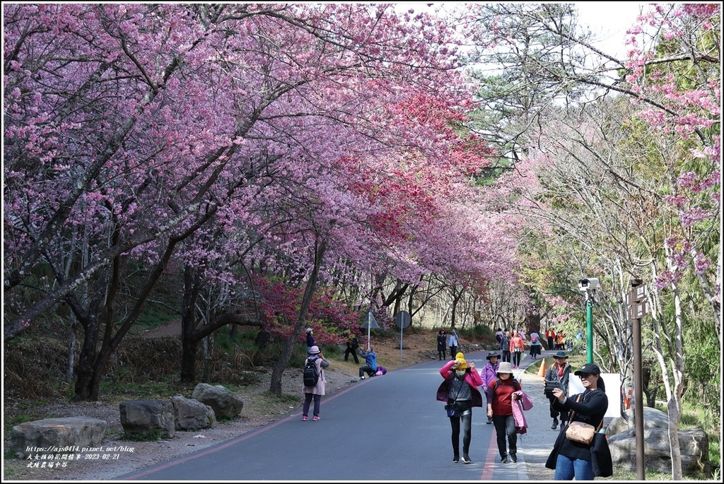 武陵農場(三天二夜)中谷-2023-02-21-116.jpg 武陵農場(三天二夜)中谷-2023-02-21-116.jpg