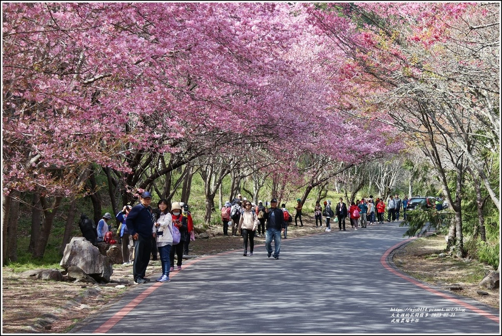 武陵農場(三天二夜)中谷-2023-02-21-103.jpg 武陵農場(三天二夜)中谷-2023-02-21-103.jpg