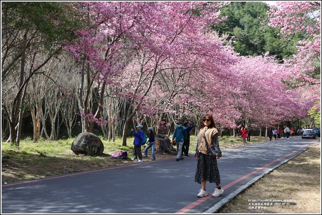 武陵農場(三天二夜)中谷-2023-02-21-105.jpg 武陵農場(三天二夜)中谷-2023-02-21-105.jpg