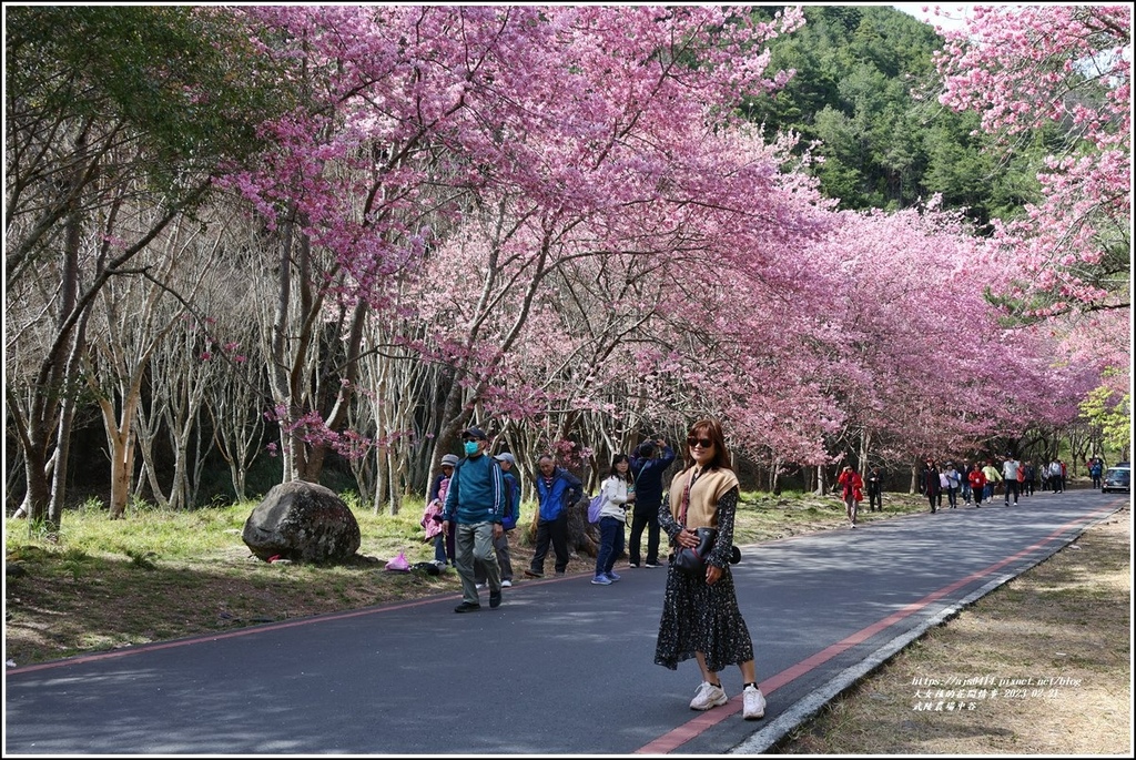 武陵農場(三天二夜)中谷-2023-02-21-106.jpg 武陵農場(三天二夜)中谷-2023-02-21-106.jpg