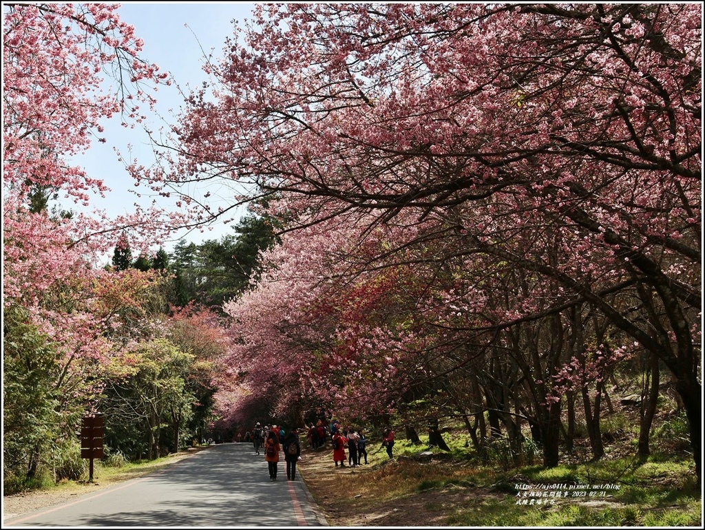 武陵農場(三天二夜)中谷-2023-02-21-110.jpg 武陵農場(三天二夜)中谷-2023-02-21-110.jpg