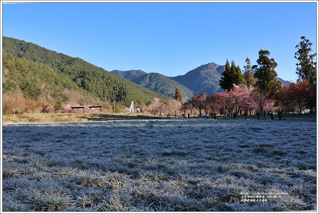 武陵農場(三天二夜)陽光草原區-2023-02-22-11.jpg