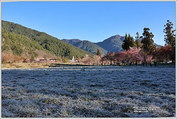 武陵農場(三天二夜)陽光草原區-2023-02-22-11.jpg