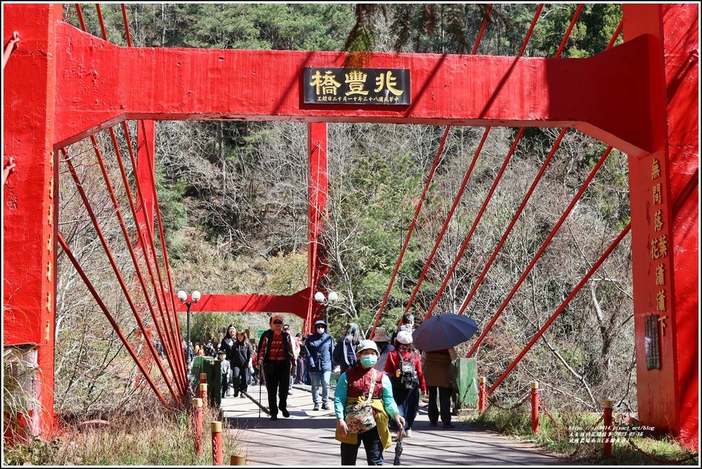 武陵農場南谷(茶園步道)-2023-02-16-92.jpg