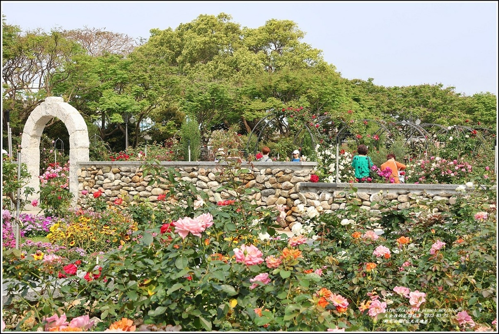 新生公園(台北玫瑰展)-2023-03-22-08.jpg