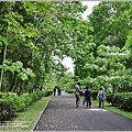 林務局南華工作站油桐花(南華林業園區)-2023-04-09-18.jpg