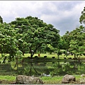 林務局南華工作站油桐花(南華林業園區)-2023-04-09-52.jpg