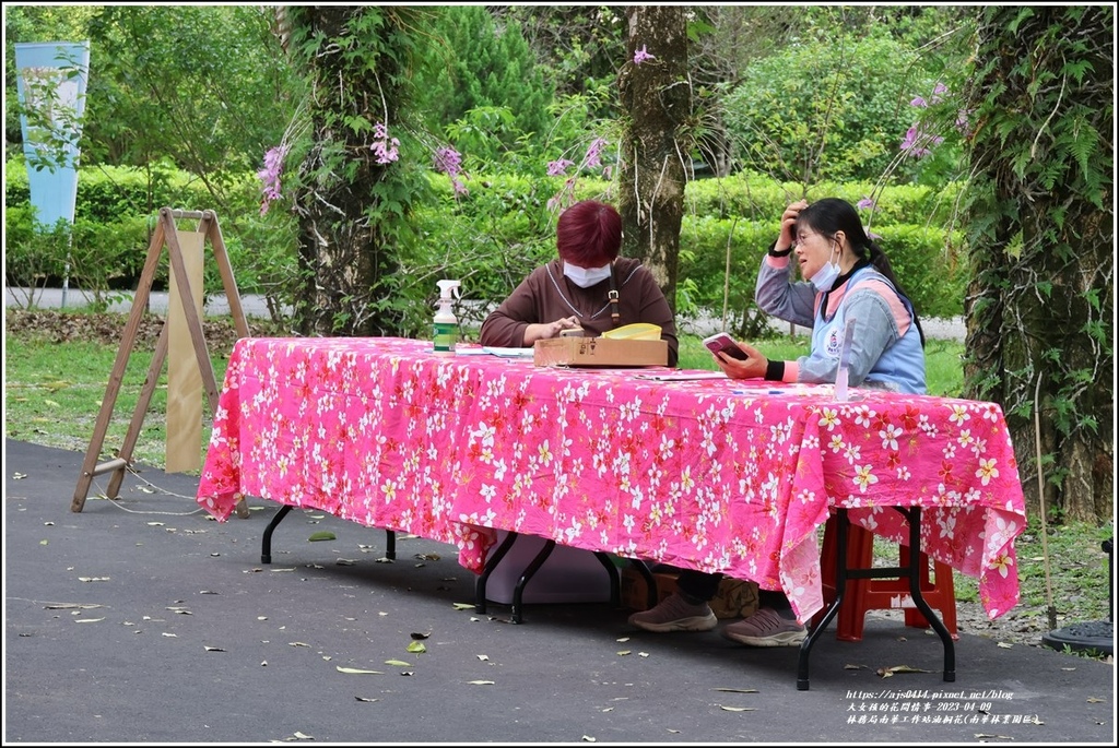 林務局南華工作站油桐花(南華林業園區)-2023-04-09-75.jpg