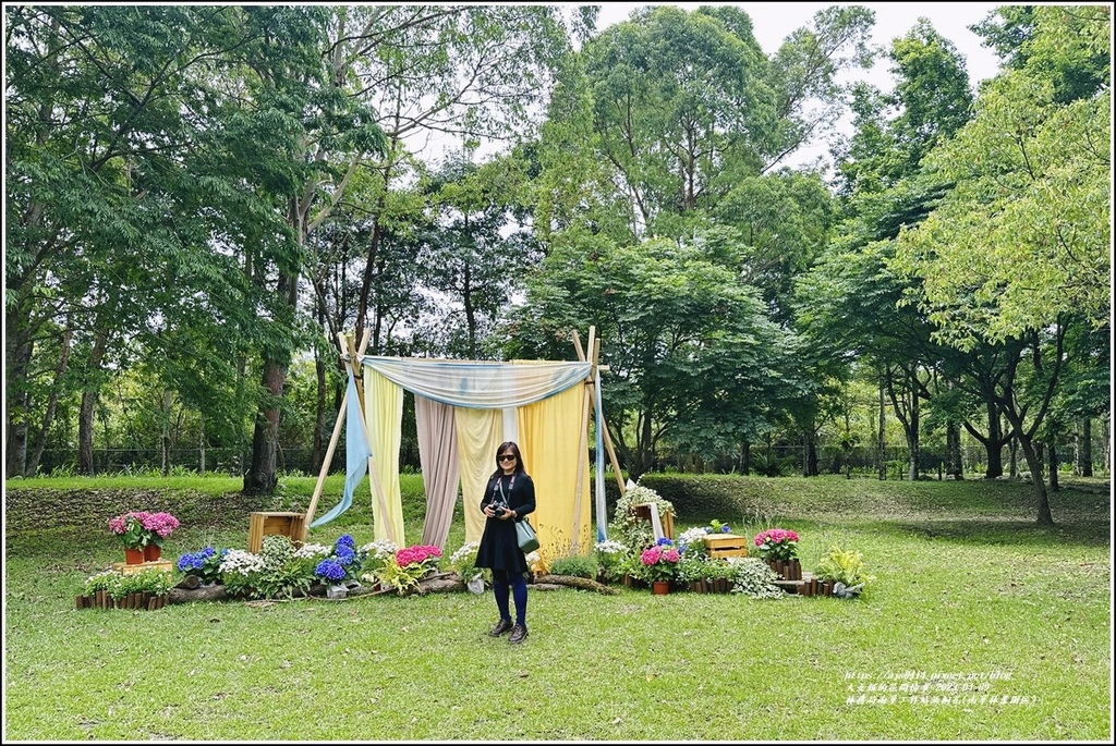 林務局南華工作站油桐花(南華林業園區)-2023-04-09-78.jpg