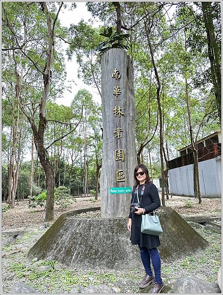 林務局南華工作站油桐花(南華林業園區)-2023-04-09-93.jpg