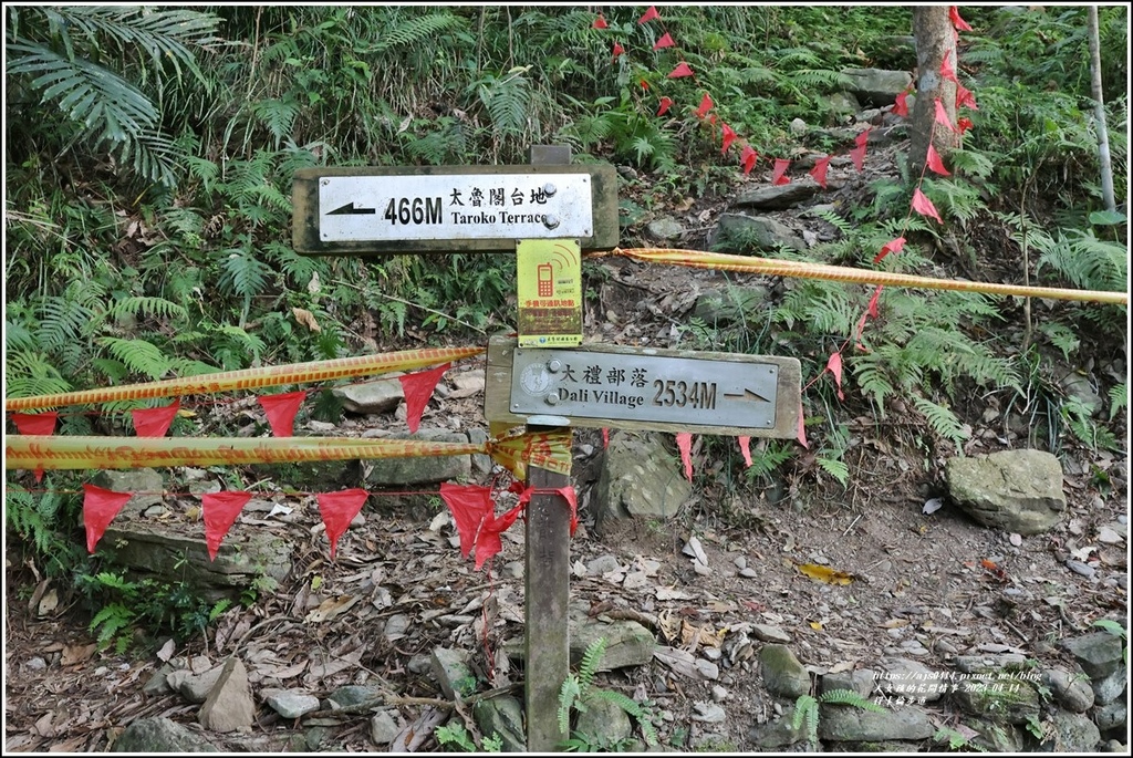 得卡倫步道-2023-04-14-09.jpg 得卡倫步道-2023-04-14-09.jpg