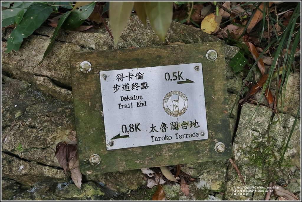 得卡倫步道-2023-04-14-38.jpg 得卡倫步道-2023-04-14-38.jpg