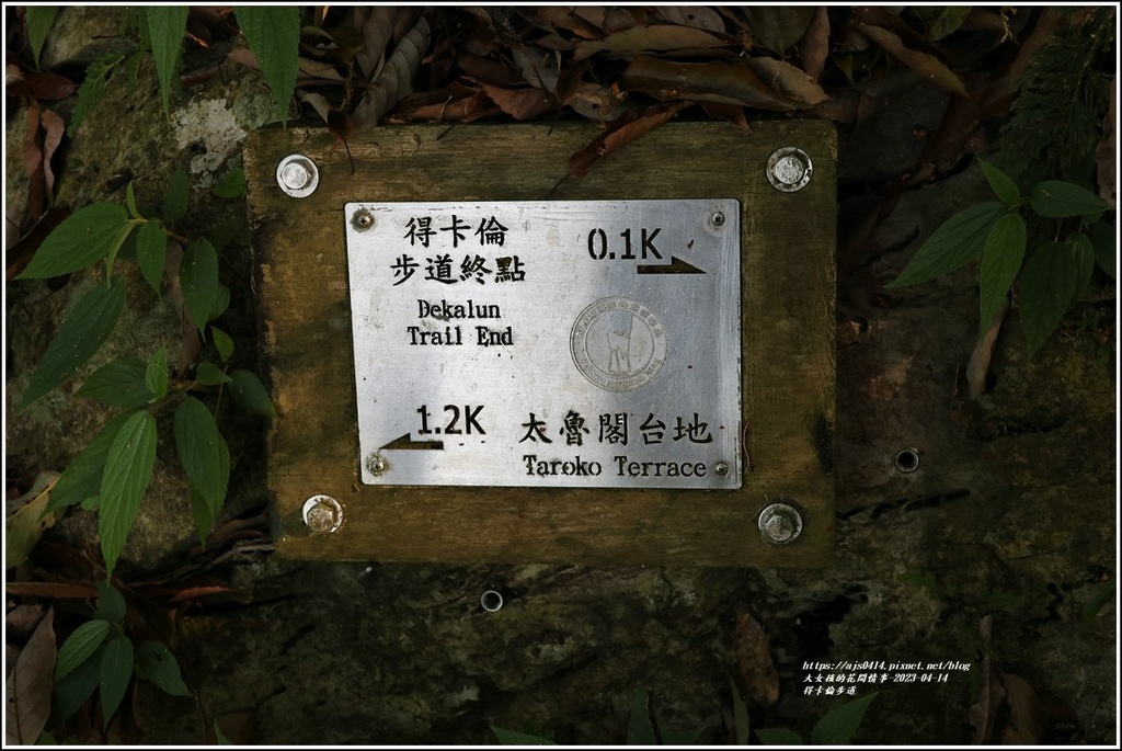 得卡倫步道-2023-04-14-69.jpg 得卡倫步道-2023-04-14-69.jpg