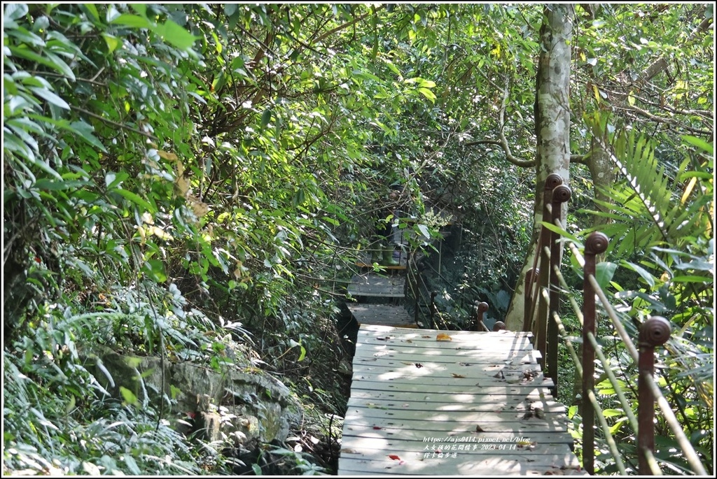 得卡倫步道-2023-04-14-74.jpg 得卡倫步道-2023-04-14-74.jpg